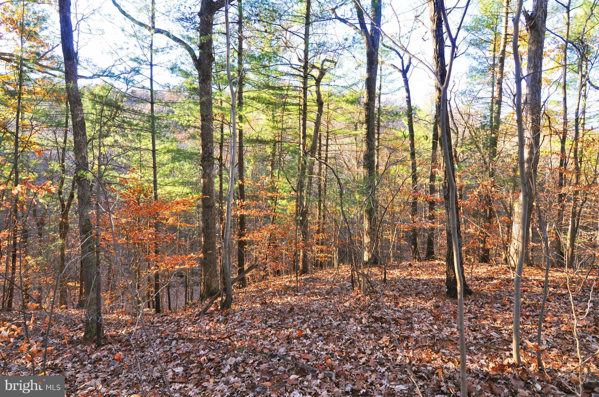Lot 293 Drummer Hill Road Front Royal, VA 22630 - Photo 7 of 8 a backyard of a house with lots of green space