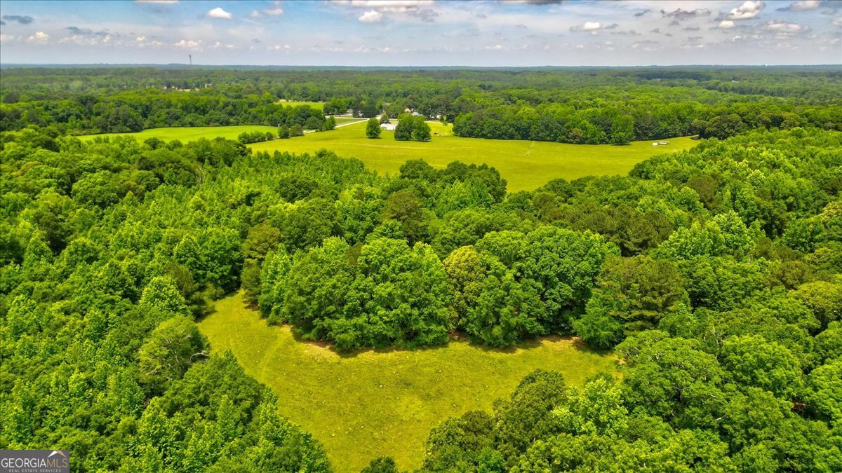 48.04-acres Caldwell Road Zebulon, GA 30295 - Photo 17 of 23 a view of a garden with an outdoor space