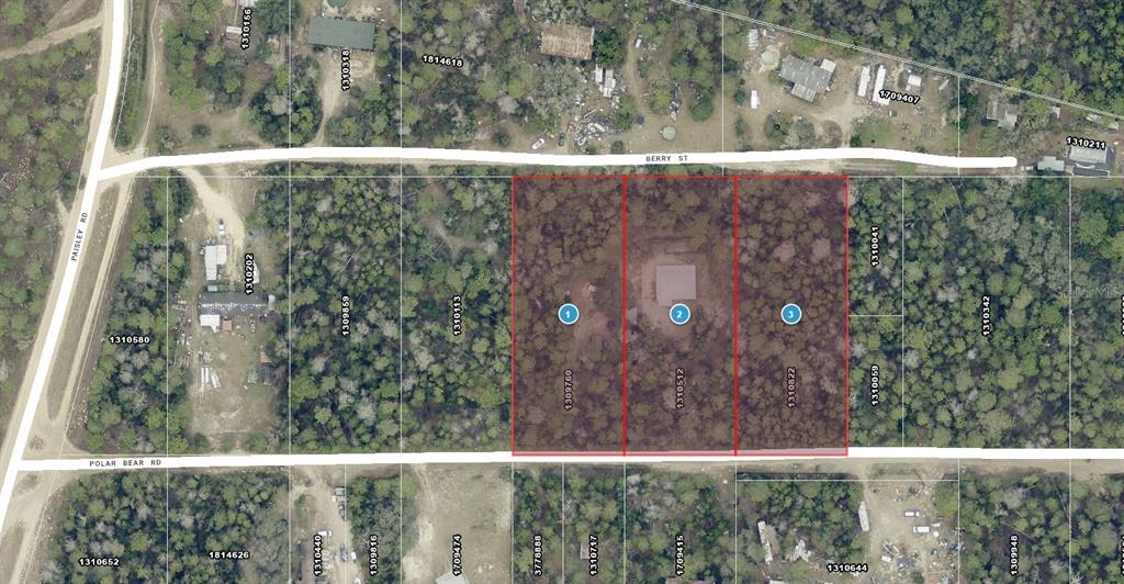 24607 Polar Bear Road Paisley, FL 32767 - Photo 46 of 47
