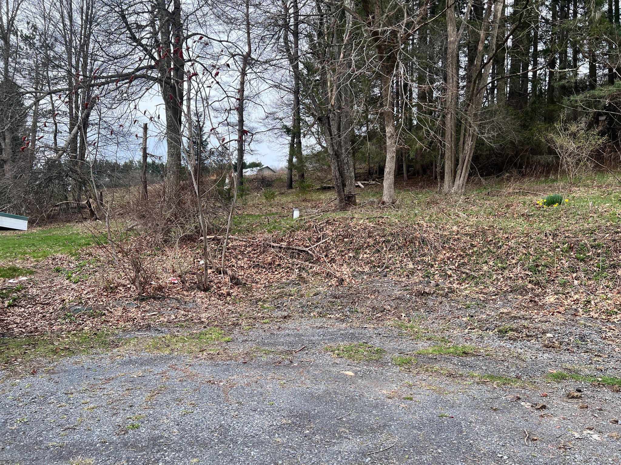 5151 Hutton Road Oakland, MD 21550 - Photo 24 of 32 a backyard of a house with lots of green space