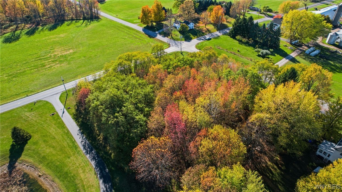 V/l Hunts Corner Akron, NY 14001 - Photo 13 of 17