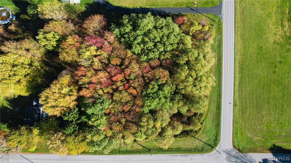 V/l Hunts Corner Akron, NY 14001 - Photo 15 of 17