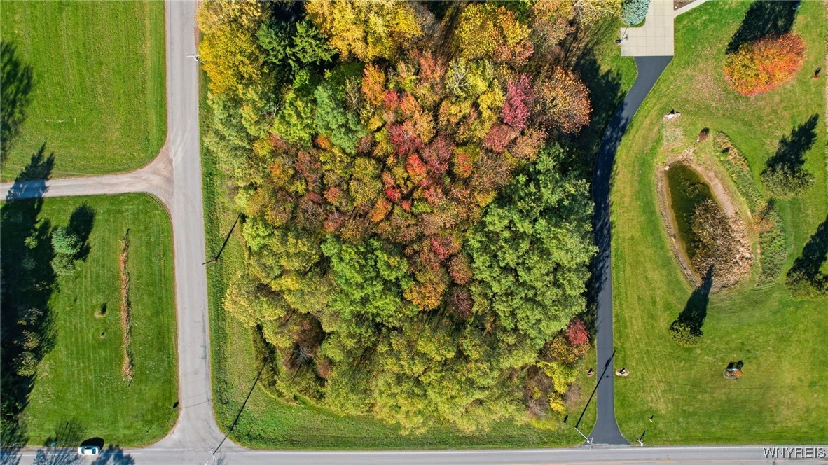 V/l Hunts Corner Akron, NY 14001 - Photo 16 of 17