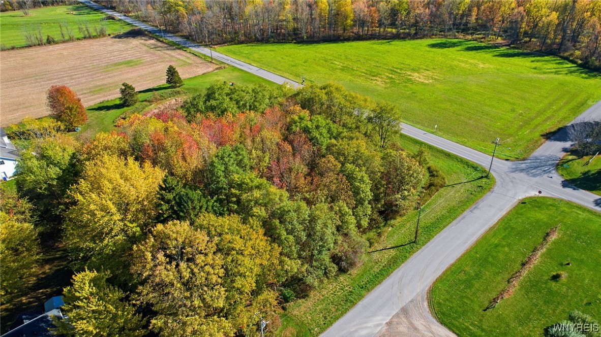 V/l Hunts Corner Akron, NY 14001 - Photo 10 of 17