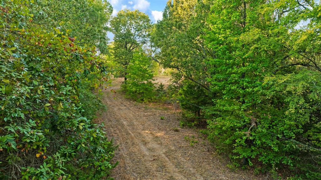 44400 Powderly Tx 75473 Powderly, TX 75473 - Photo 7 of 16 Gallery Image 7