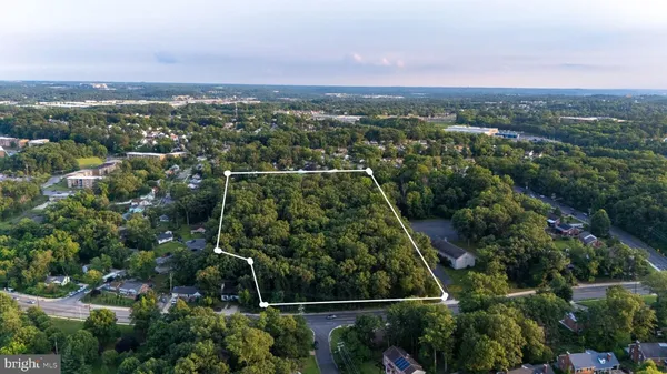 an aerial view of forest