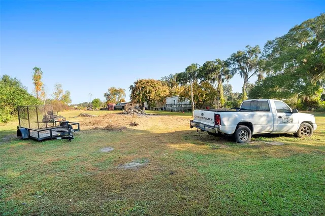 a view of a park with large trees