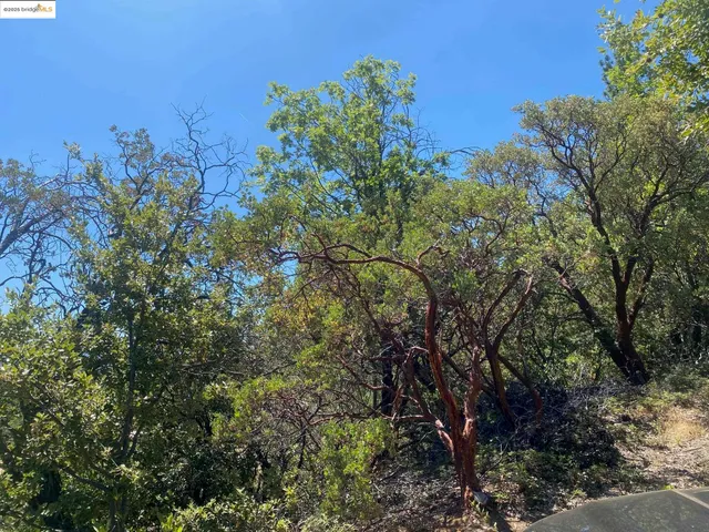 a view of a green field