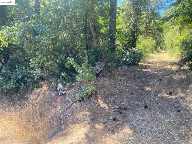 $98,000 | 1636 Nickerson Lane, Murphys, CA 95247