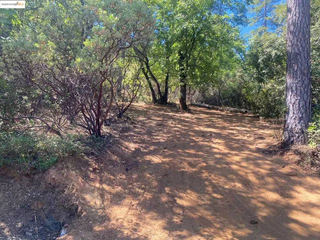 a view of outdoor space and yard