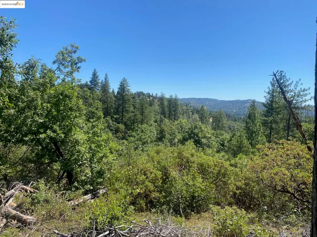 a view of a city with lush green forest