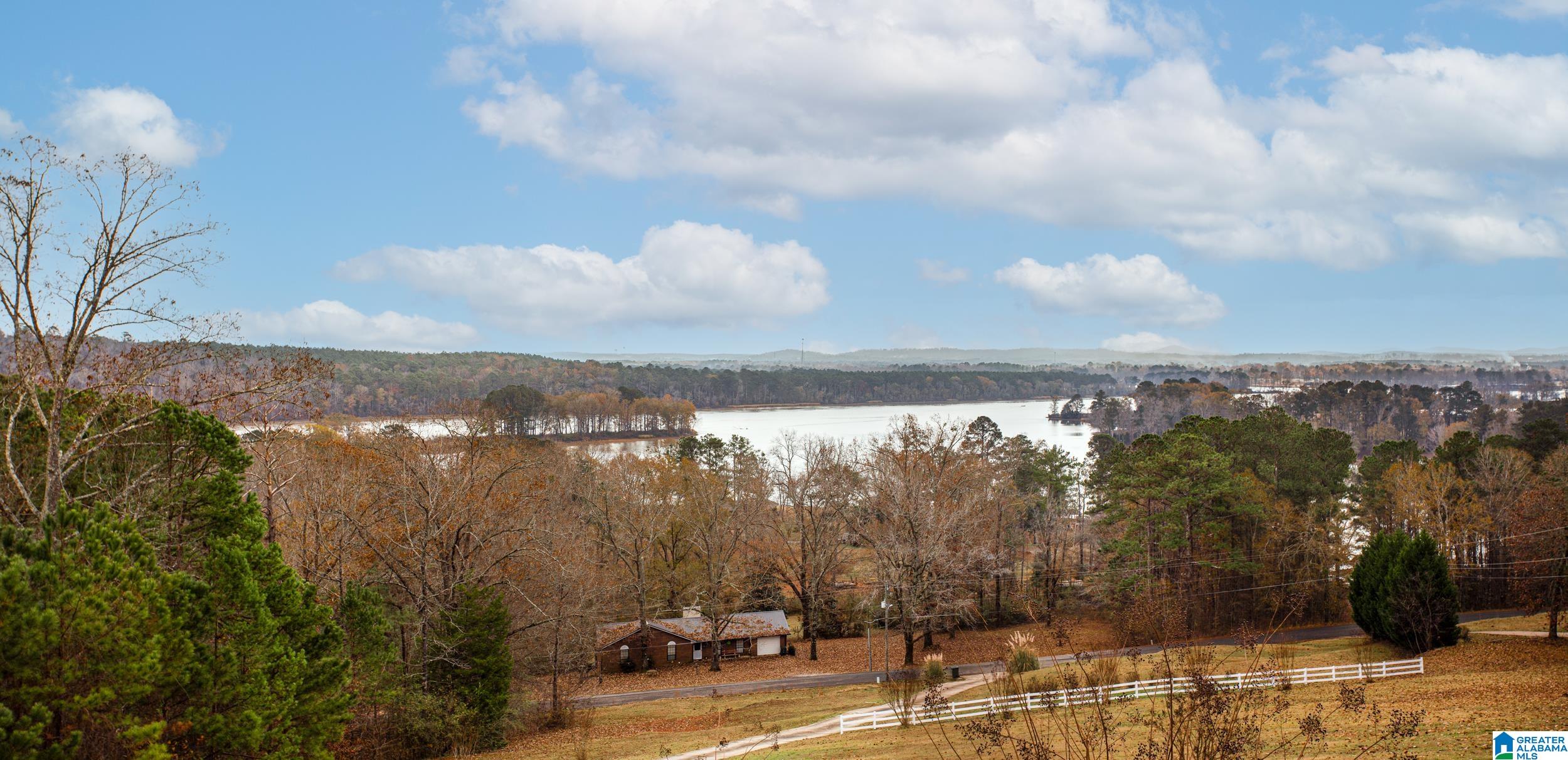 443 Lock 4 Road Riverside, AL 35135 - Photo 30 of 43