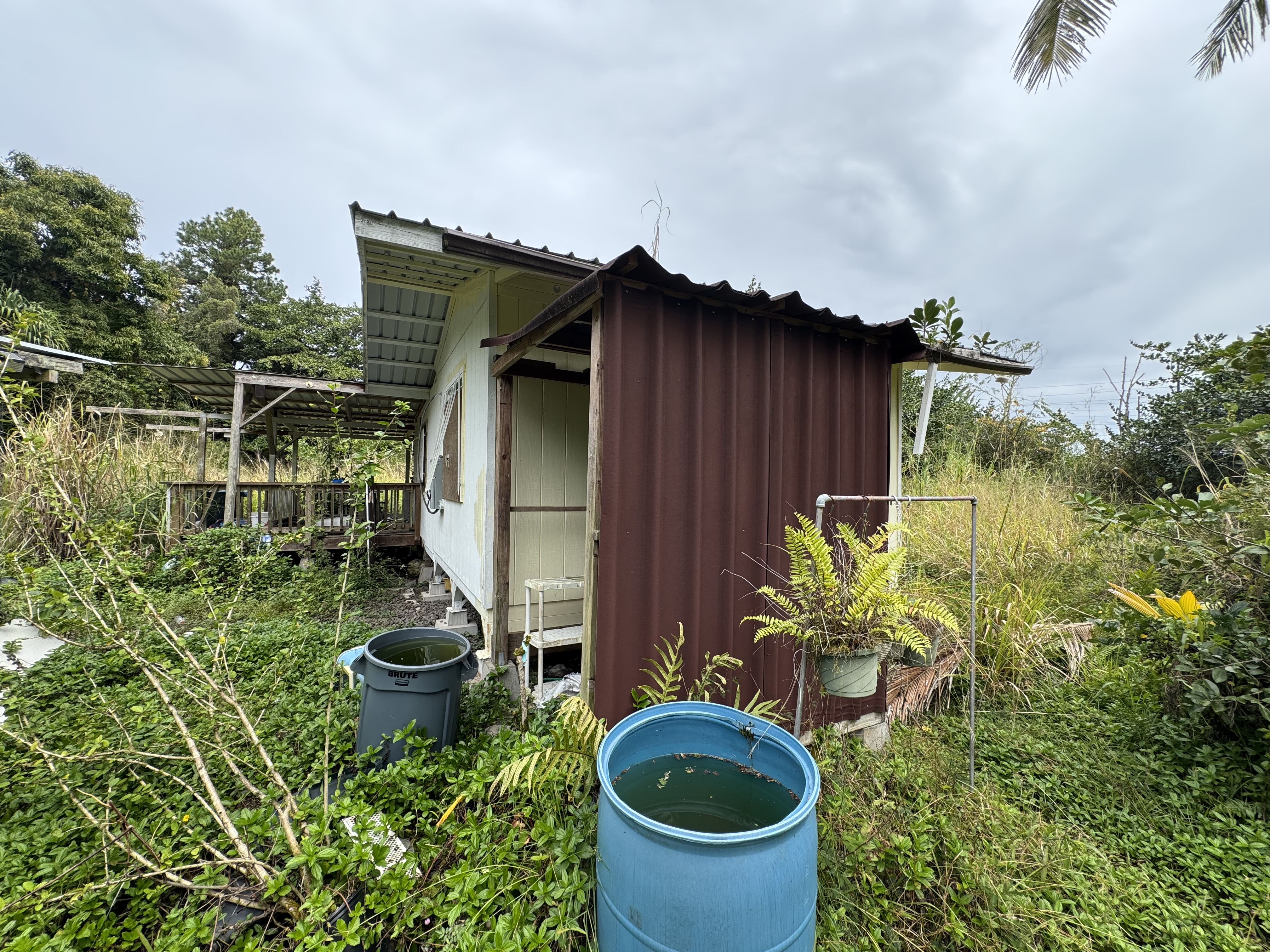 1310 A Pahoa Road Pahoa, HI 96778 - Photo 16 of 19 Gallery Image 16