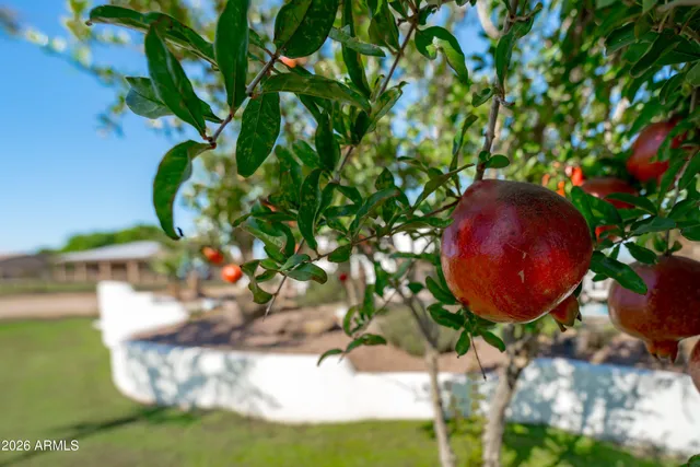 $775,000 | 24313 West Grove Street, Buckeye, AZ 85326