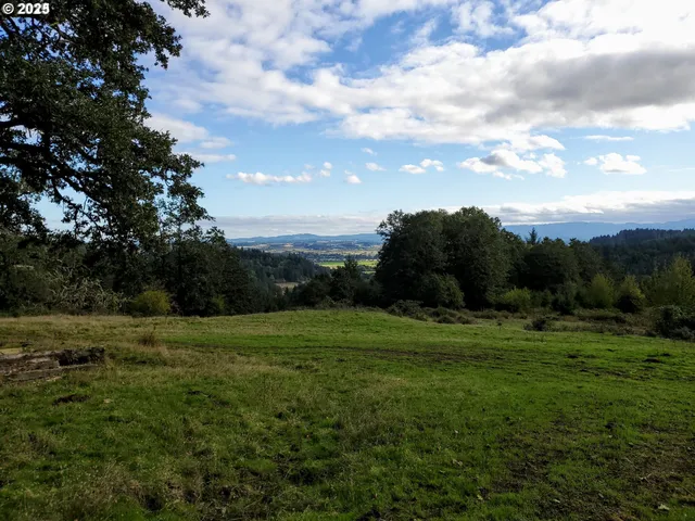 a view of grassy field with trees
