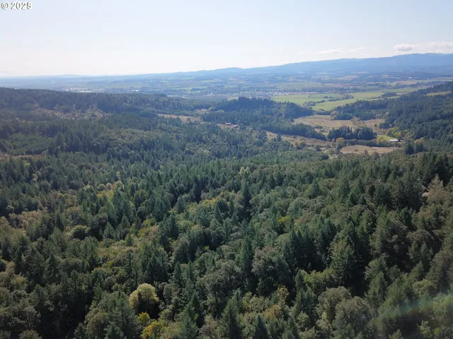 an aerial view of residential house and green space