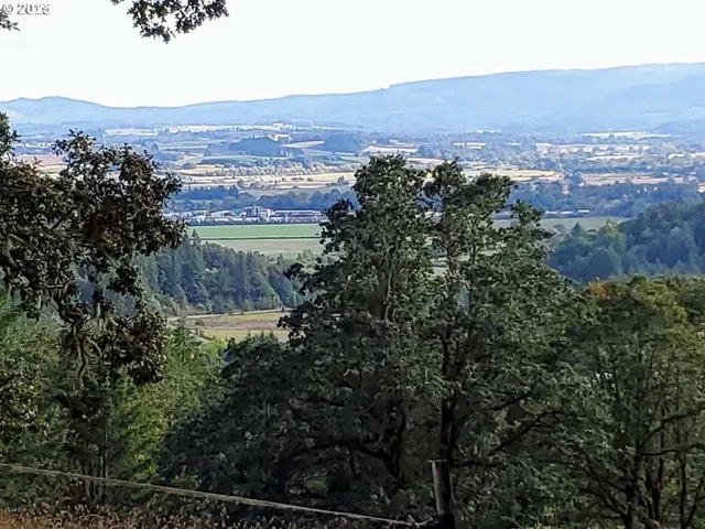 an aerial view of residential house and green space