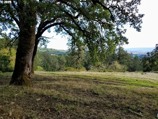 a big yard with lots of green space