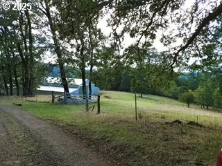 a view of a park with large trees