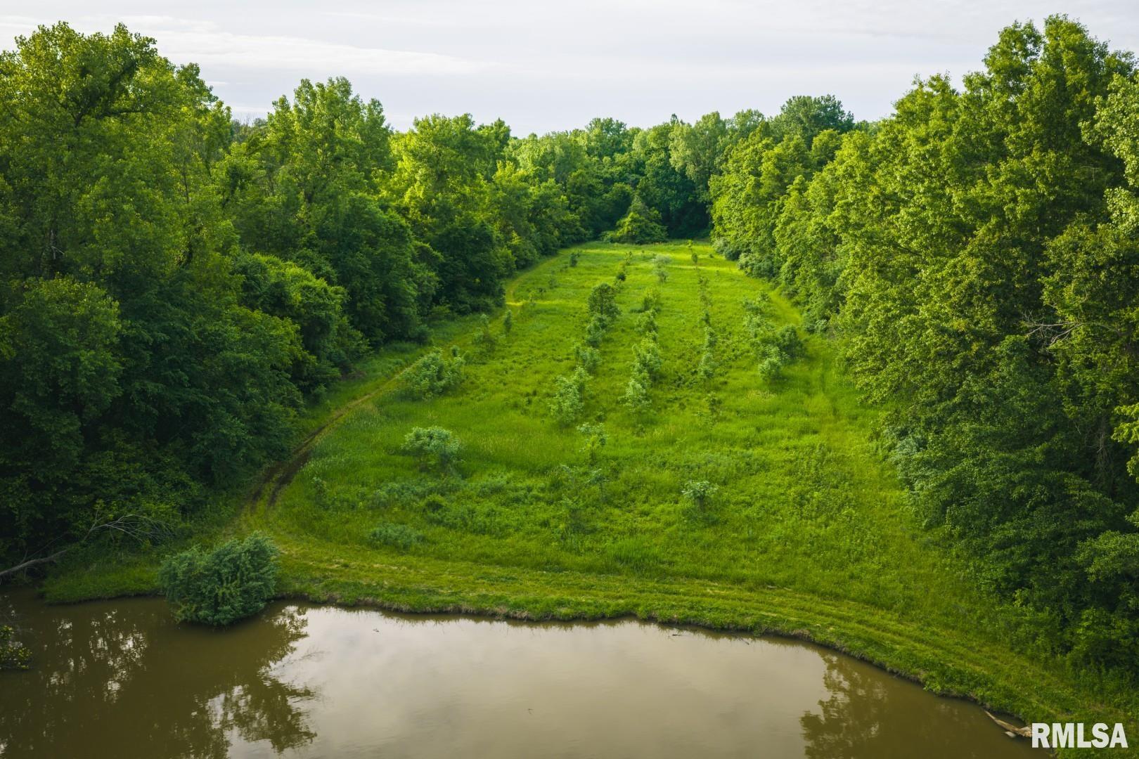 12481 Timber Ridge Godfrey, IL 62035 - Photo 86 of 98