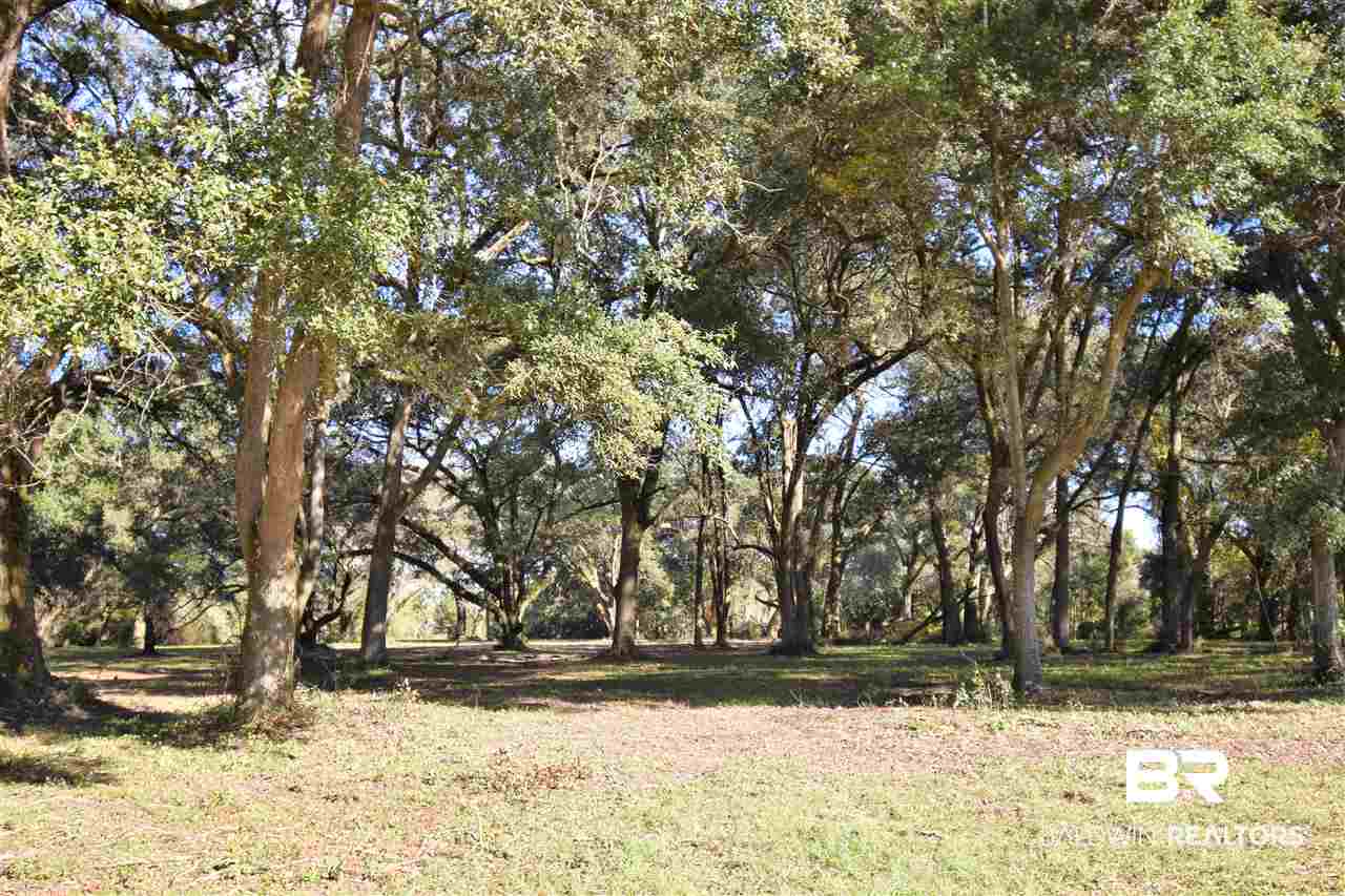 0 Mandrell Lane Fairhope, AL 36532 - Photo 1 of 4