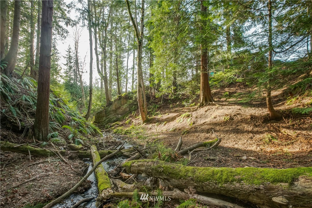 136 South 41st Street Bellingham, WA 98229 - Photo 19 of 19