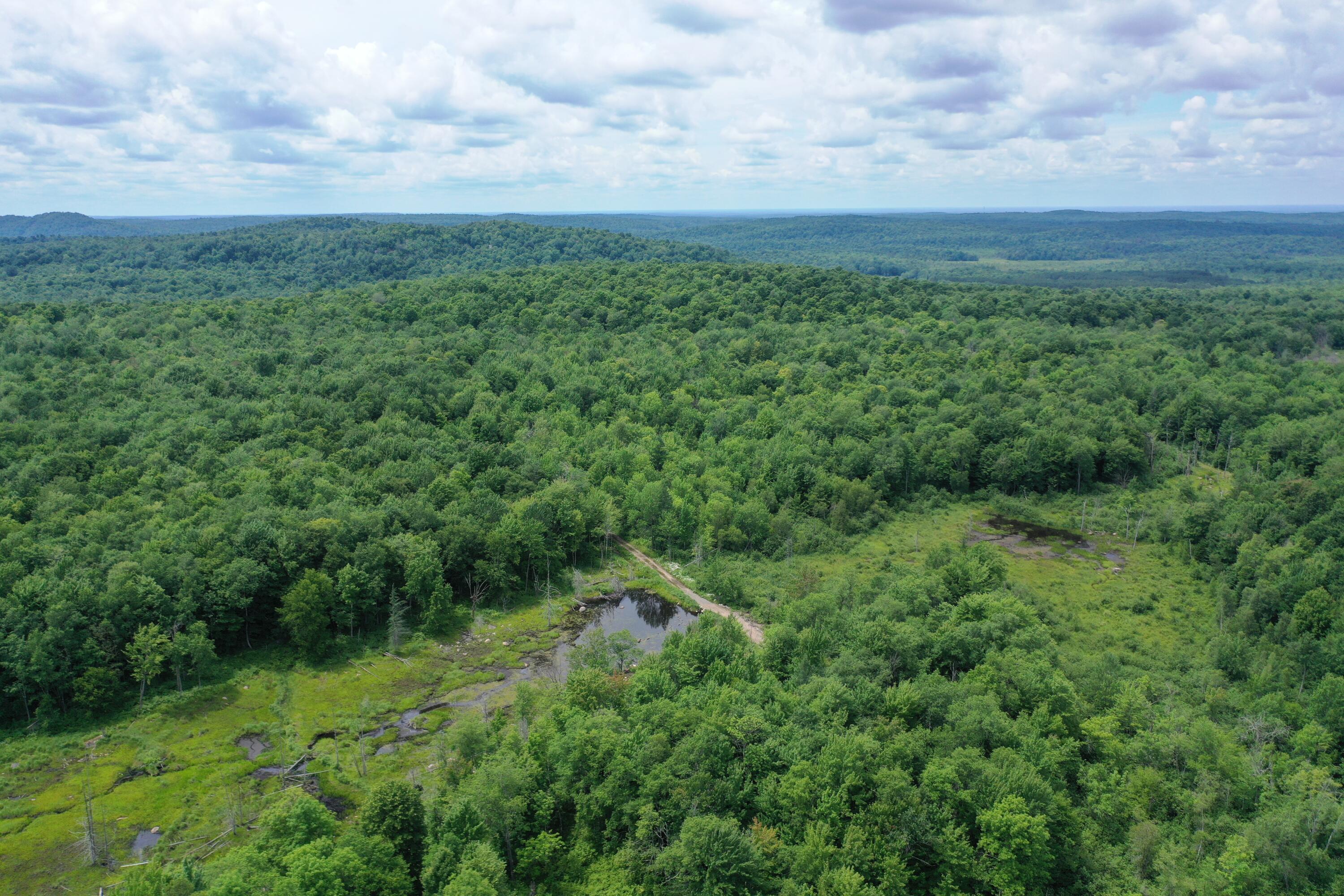 DJI_0927-DF