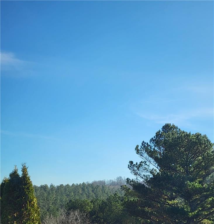 30 Westover Ridge Adairsville, GA 30103 - Photo 10 of 46