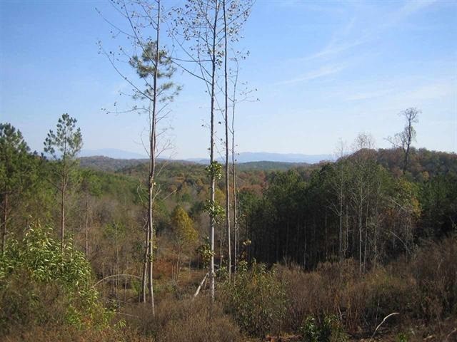 0 Citico Road Vonore, TN 37885 - Photo 7 of 16