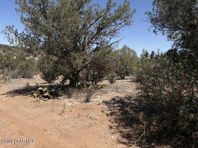 56385 North Bridge Canyon Road Seligman, AZ 86337 - Photo 3 of 10 IMG_1554