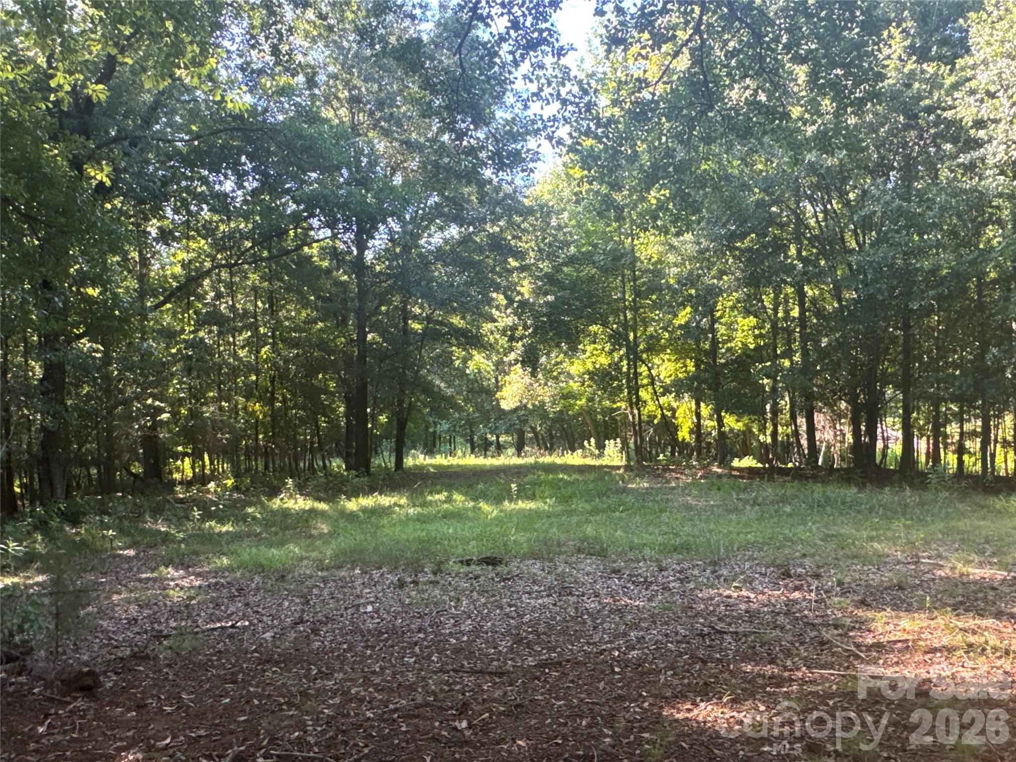 328 Sandy Run Church Road Mooresboro, NC 28114 - Photo 39 of 48