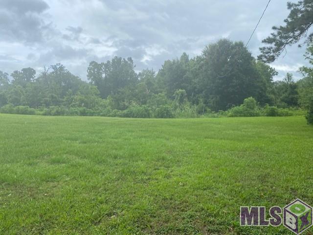 11111 Beco Road St. Amant, LA 70774 - Photo 1 of 6 Gallery Image 1