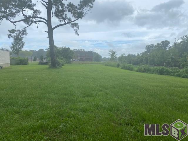 11111 Beco Road St. Amant, LA 70774 - Photo 3 of 6 Gallery Image 3