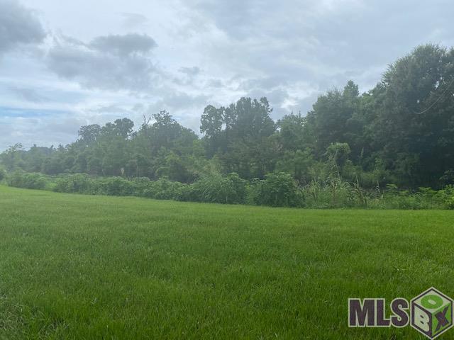 11111 Beco Road St. Amant, LA 70774 - Photo 4 of 6 Gallery Image 4