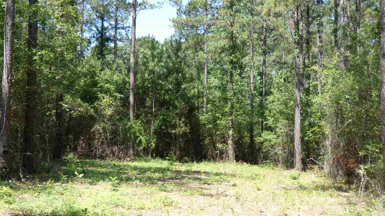 Tbd Sutton Road Monticello, FL 32344 - Photo 4 of 8 Gallery Image 4