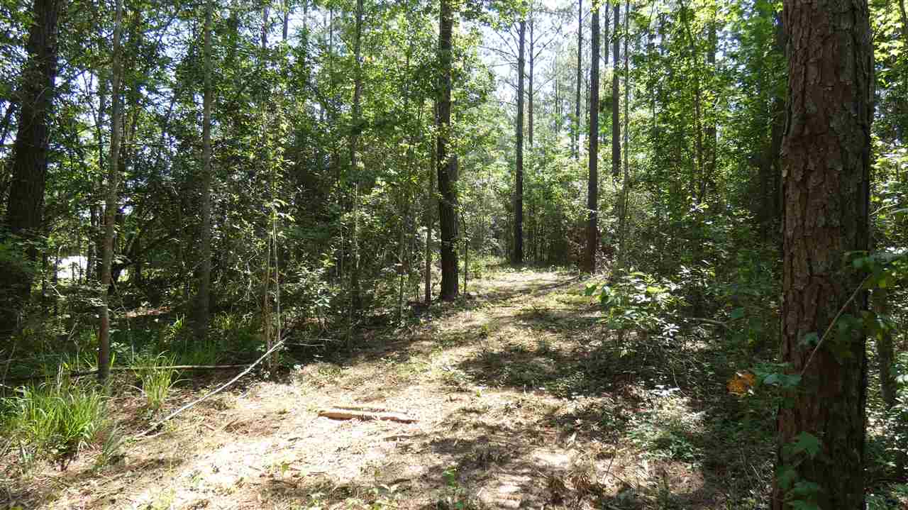 Tbd Sutton Road Monticello, FL 32344 - Photo 8 of 8 Gallery Image 8