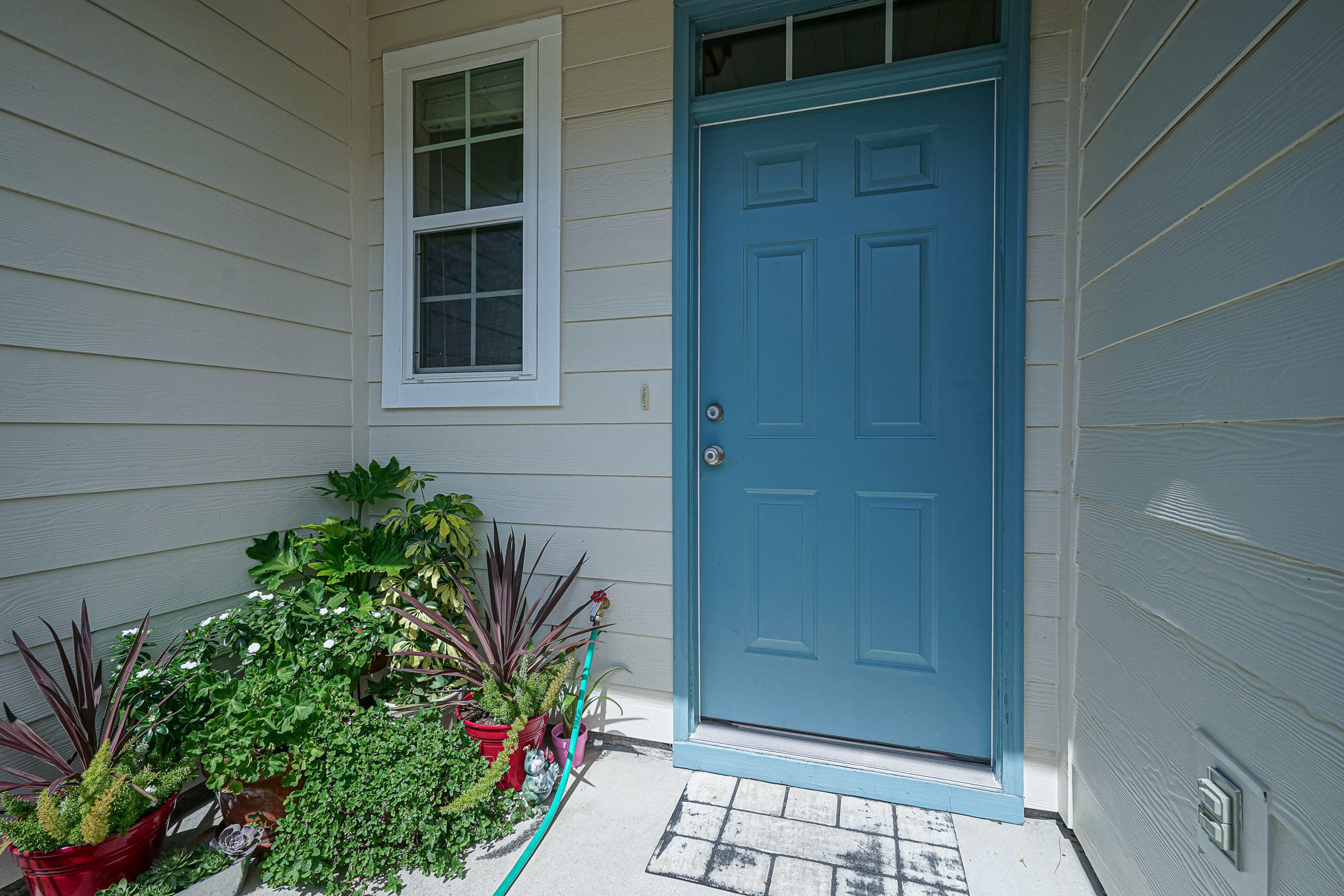 19 East Shady Oaks Lane, Unit B Santa Rosa Beach, FL 32459 - Photo 2 of 35 a potted plant in front of a door