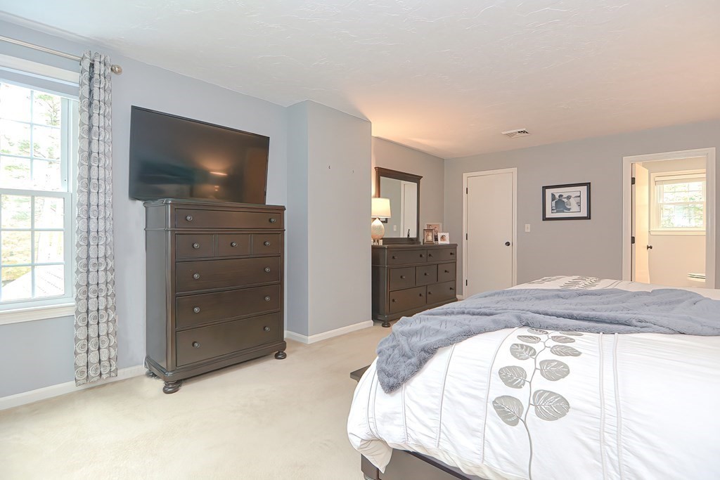 6 Brookview Road Millis, MA 02054 - Photo 20 of 41 Gallery Image 20