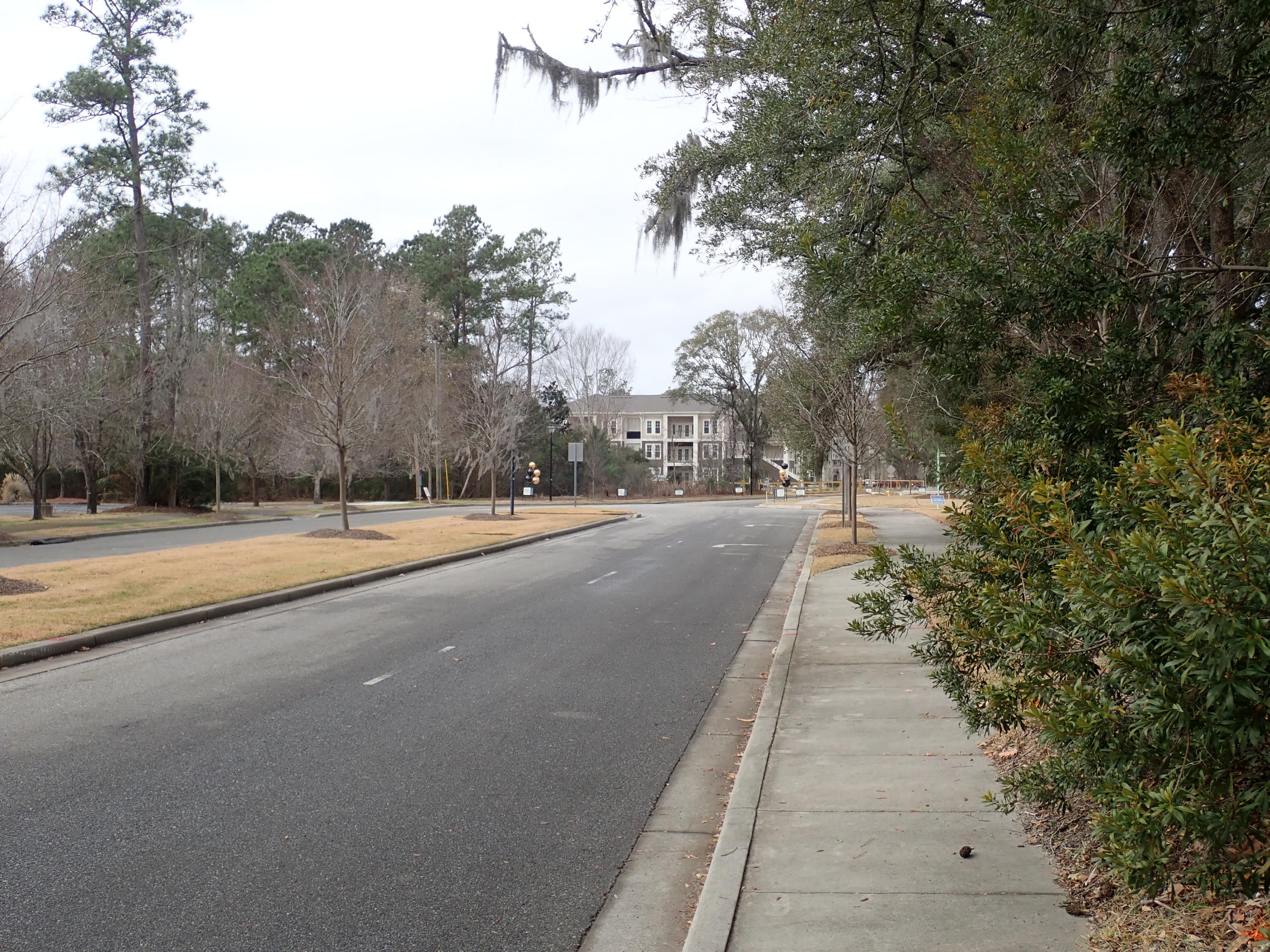 3306 Bonanza Road Charleston, SC 29414 - Photo 3 of 16 P1110241