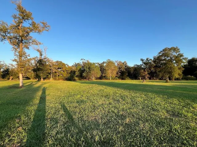 a view of a field with large trees