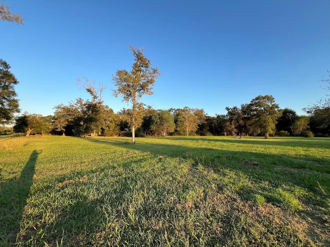 6233 County Road 3 Sweeny, TX 77480 - Photo 4 of 14 a view of a field with large trees