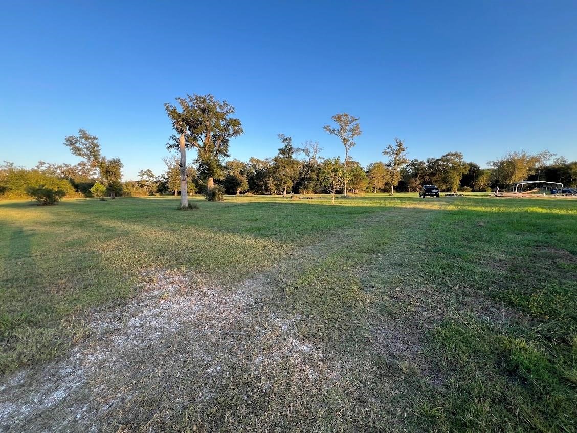 6233 County Road 3 Sweeny, TX 77480 - Photo 9 of 14 a view of a field with large trees