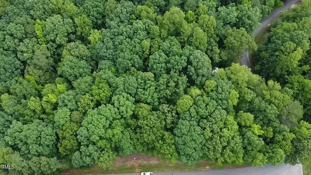 a view of a lush green forest