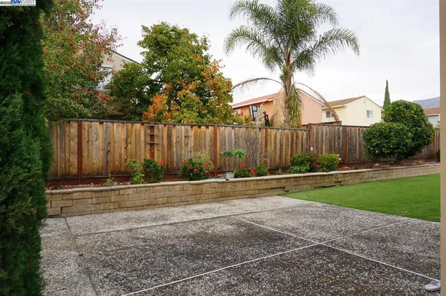a view of a backyard with palm tree