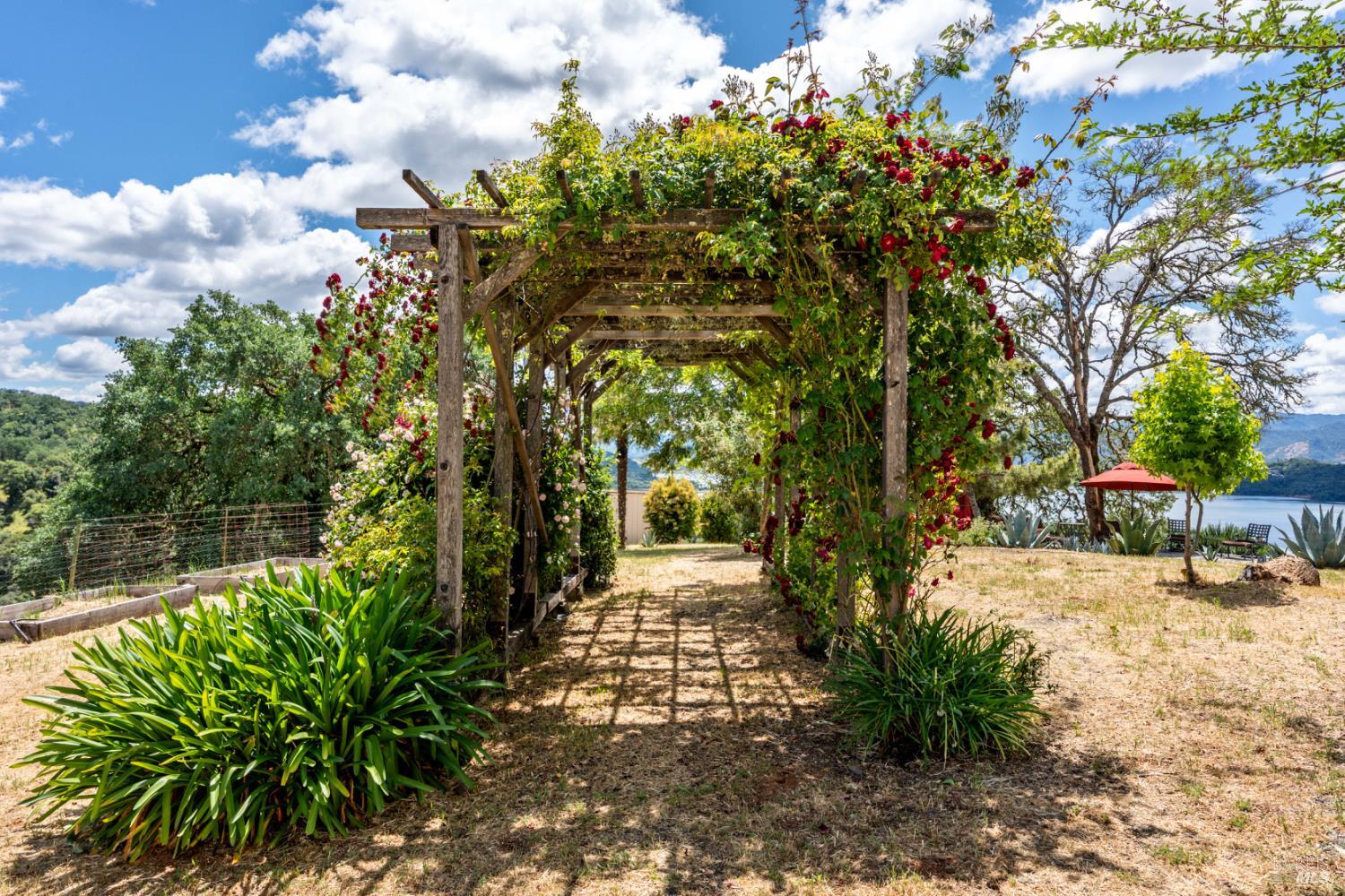 3760 King Ranch Road Ukiah, CA 95482 - Photo 26 of 44 a view of a yard with plants and trees