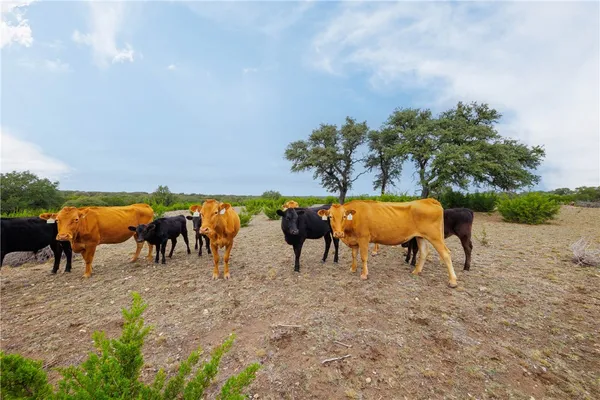 $699,000 | 80 County Road 508, Goldthwaite, TX 76844