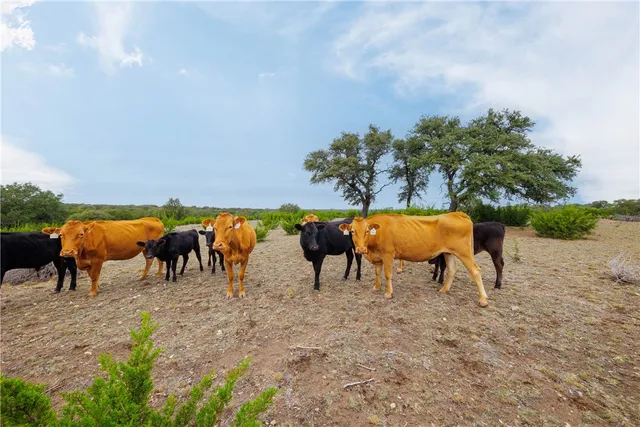 $789,000 | 80 County Road 508, Goldthwaite, TX 76844