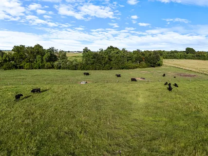 $3,500,000 | 15610 Penick Road, Waller, TX 77484
