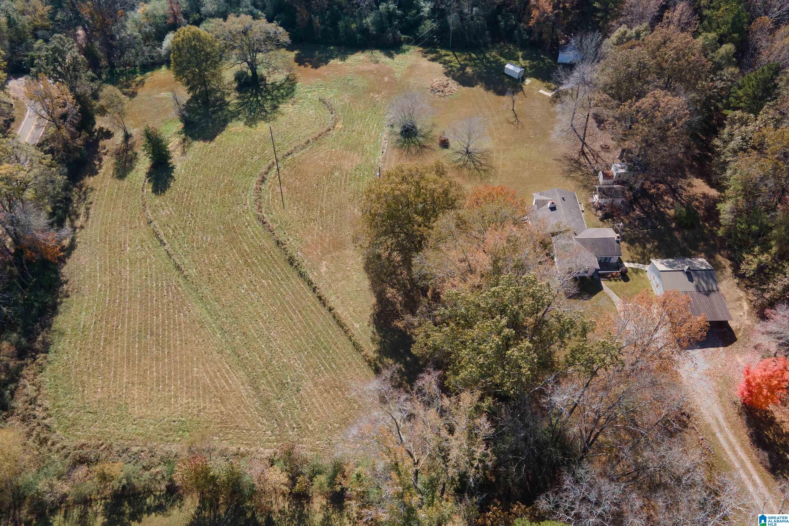 1864 Kelly Loop Road Mount Olive, AL 35117 - Photo 67 of 68