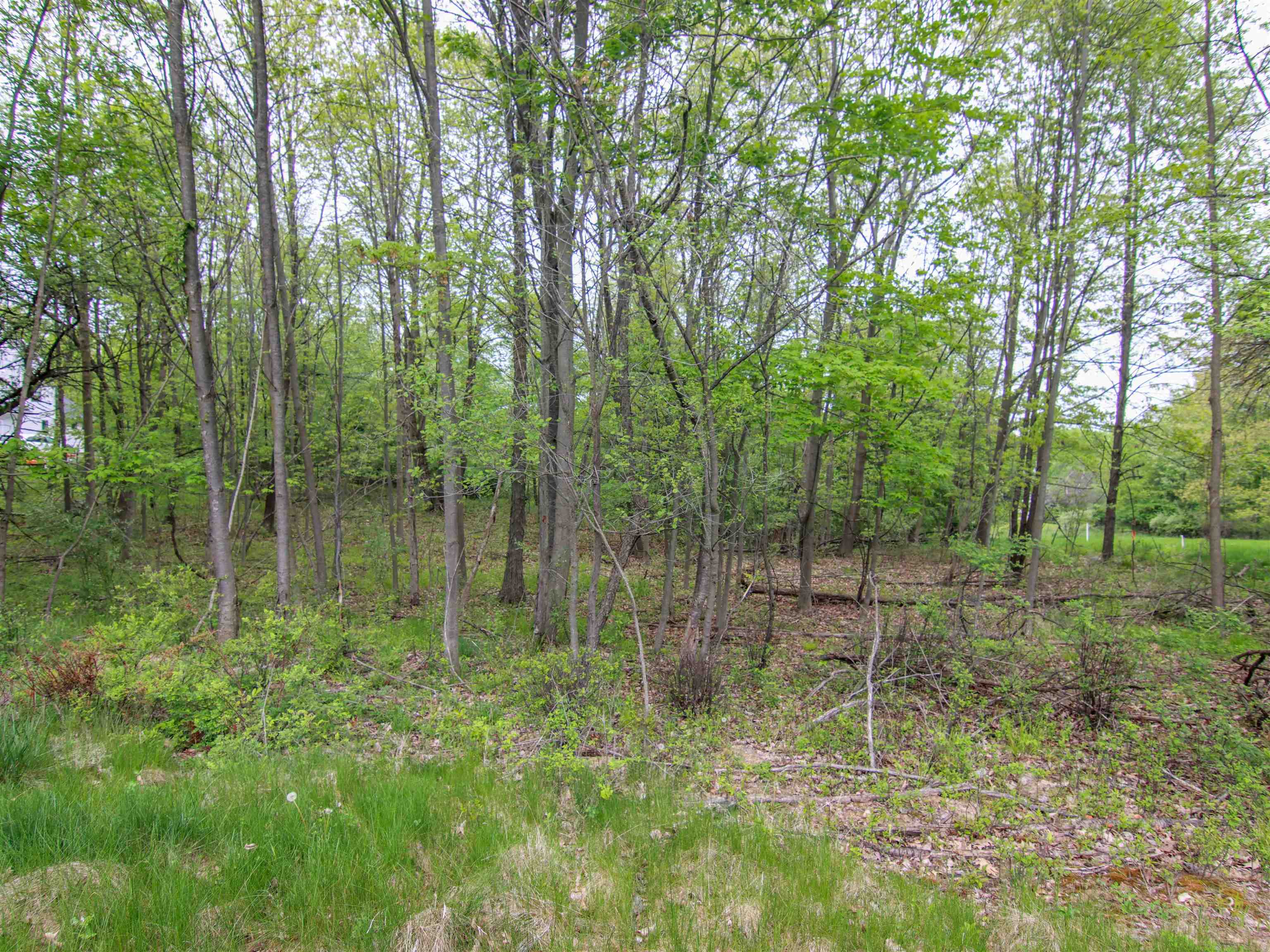 -unit 3 Ledgewood Ravine Trail Fenton, MI 48430 - Photo 2 of 10